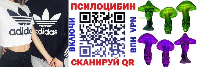 omg маркетплейс  Кочубеевское  Галлюциногенные грибы GOLDEN TEACHER 